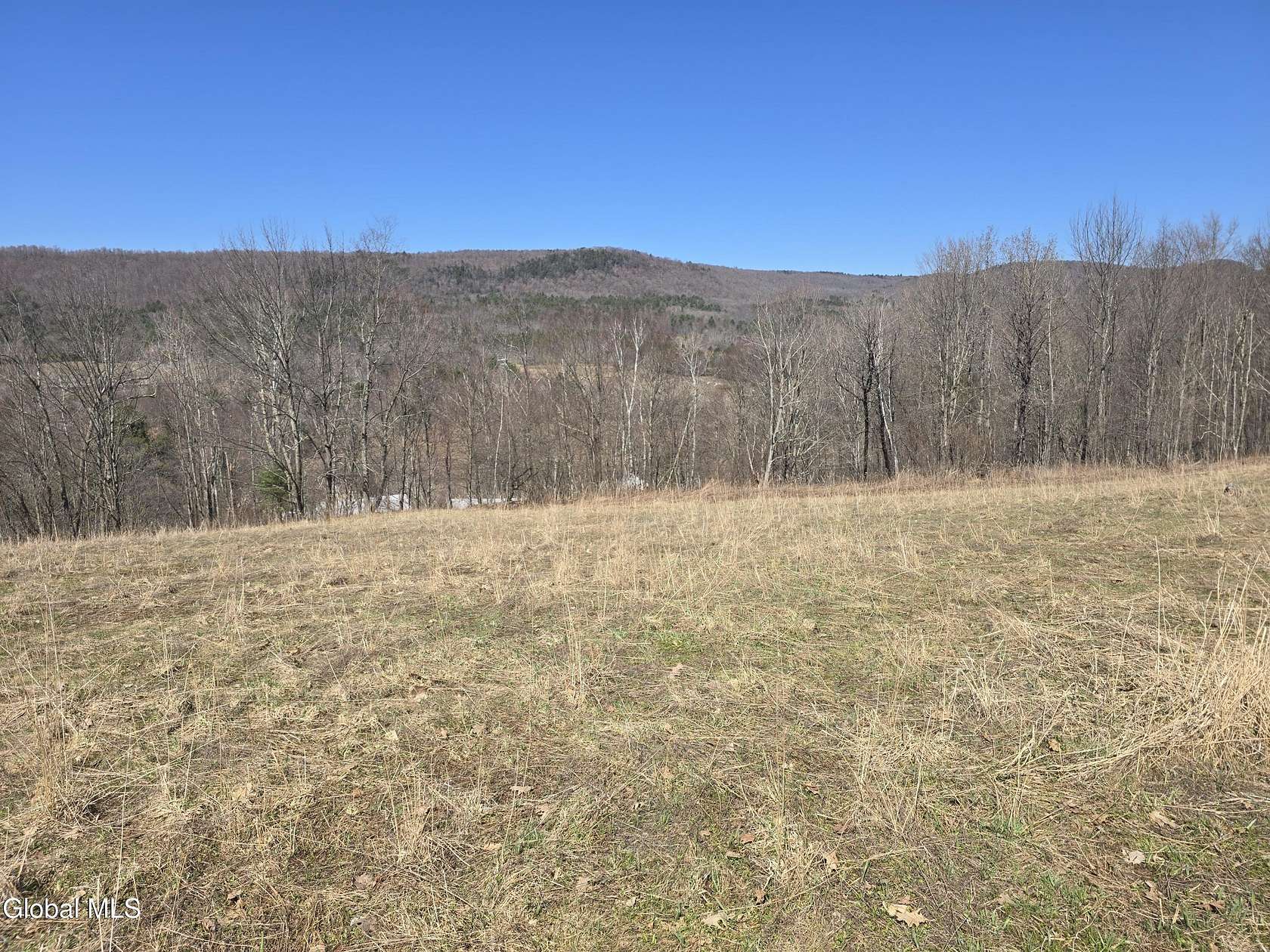 16.3 Acres of Recreational Land for Sale in Berlin, New York