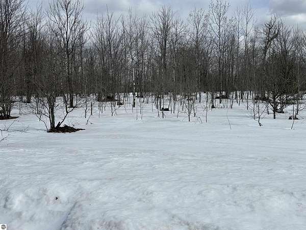 0.59 Acres of Residential Land for Sale in Mancelona, Michigan