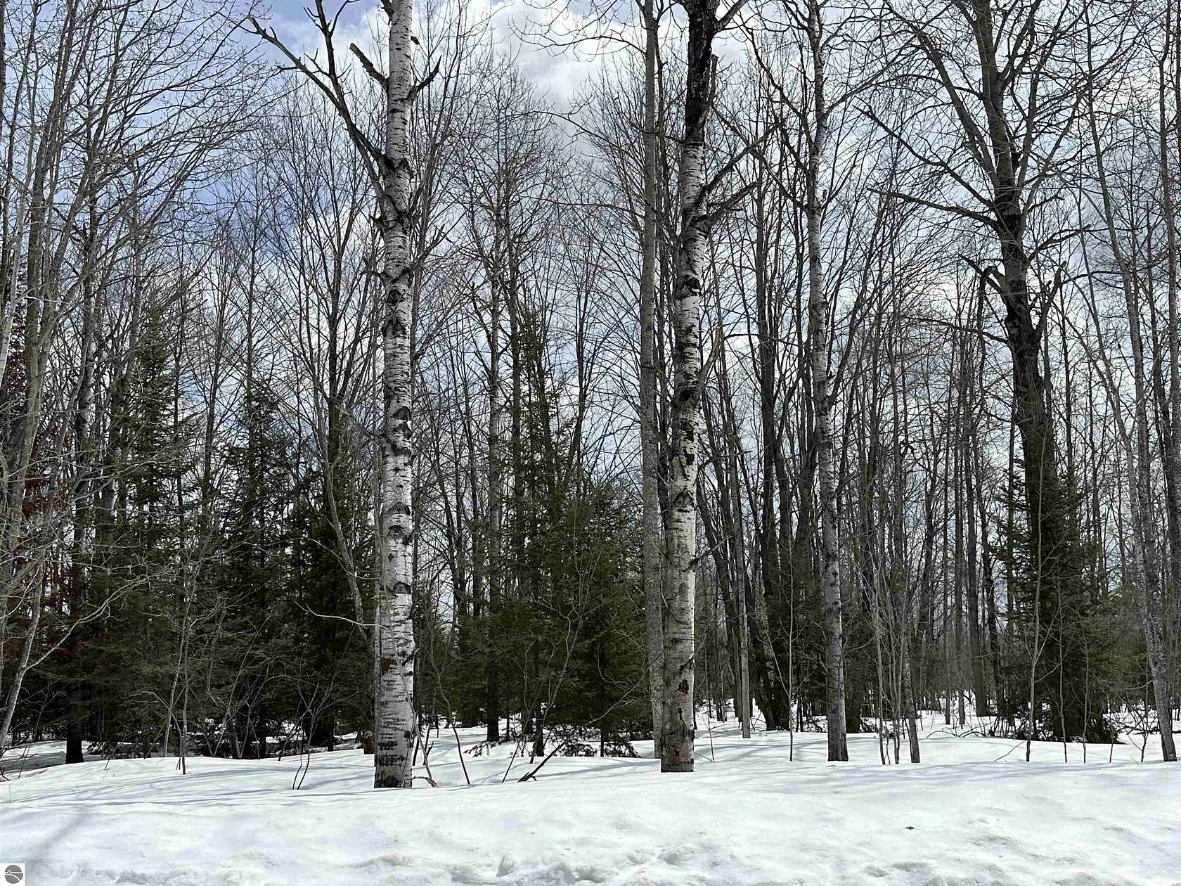 0.59 Acres of Residential Land for Sale in Mancelona, Michigan