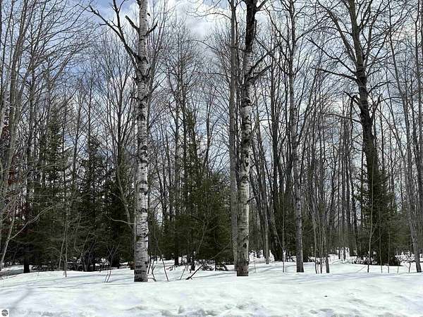 0.59 Acres of Residential Land for Sale in Mancelona, Michigan