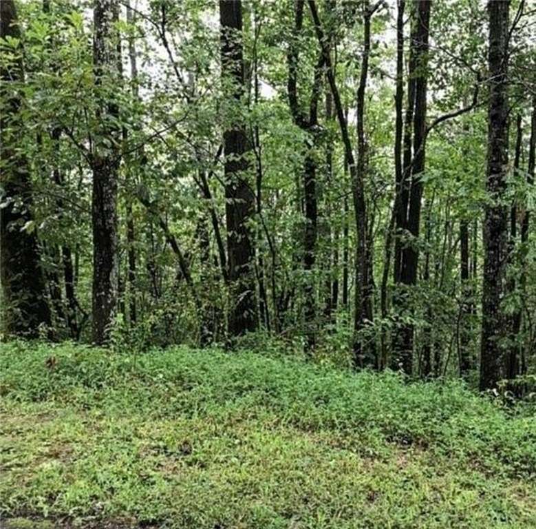 1.2 Acres of Residential Land for Sale in Jasper, Georgia