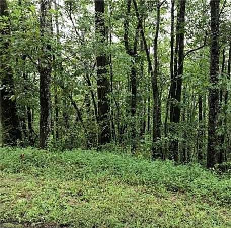 1.2 Acres of Residential Land for Sale in Jasper, Georgia
