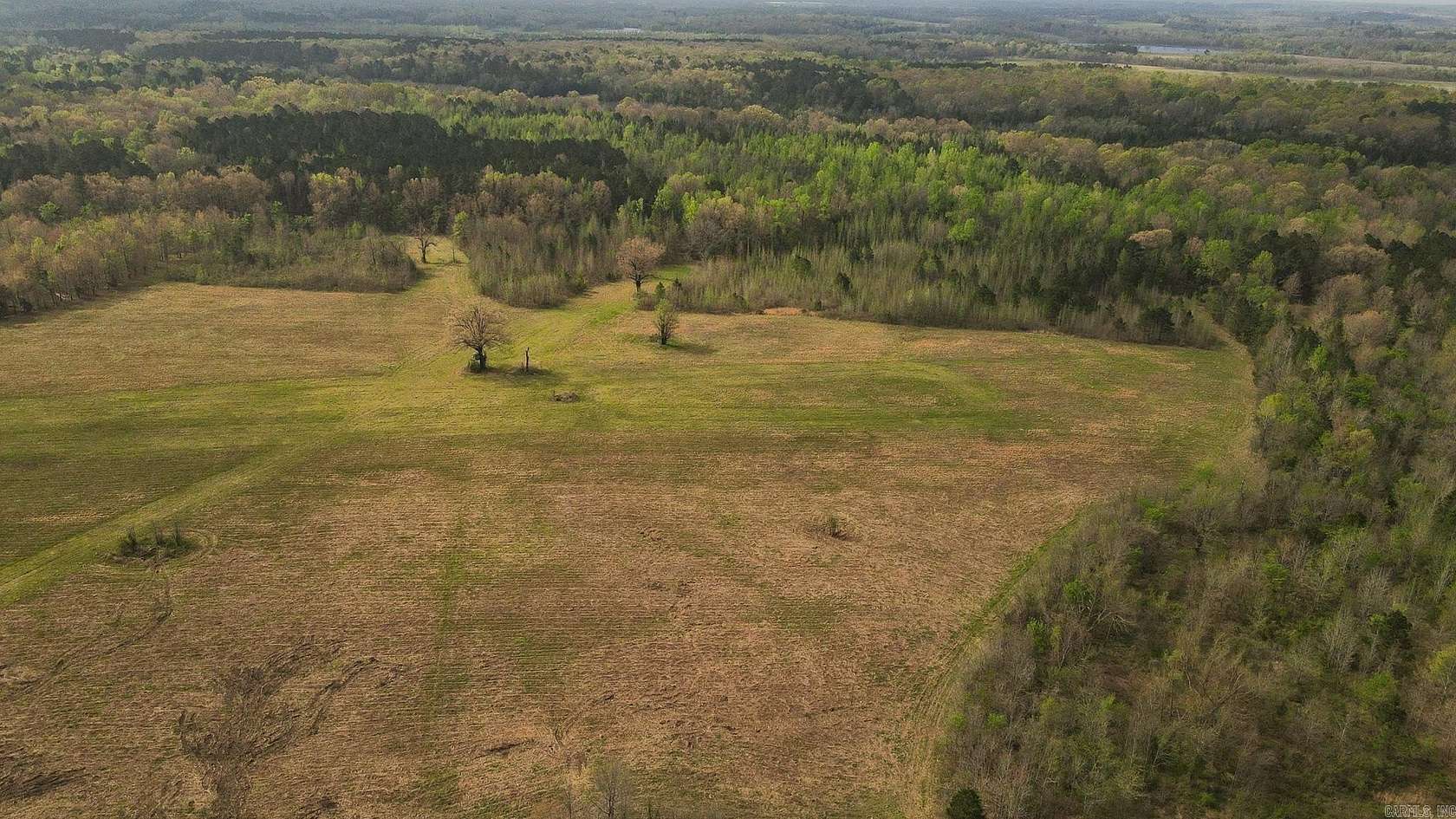 76.4 Acres of Recreational & Residential Land for Sale in Ozan, Arkansas