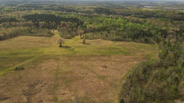 76.4 Acres of Recreational & Residential Land for Sale in Ozan, Arkansas