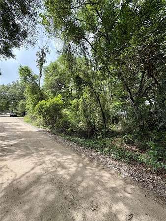 0.12 Acres of Residential Land for Sale in Salt Springs, Florida