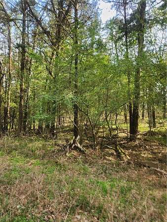 6.3 Acres of Residential Land for Sale in Ozark, Arkansas