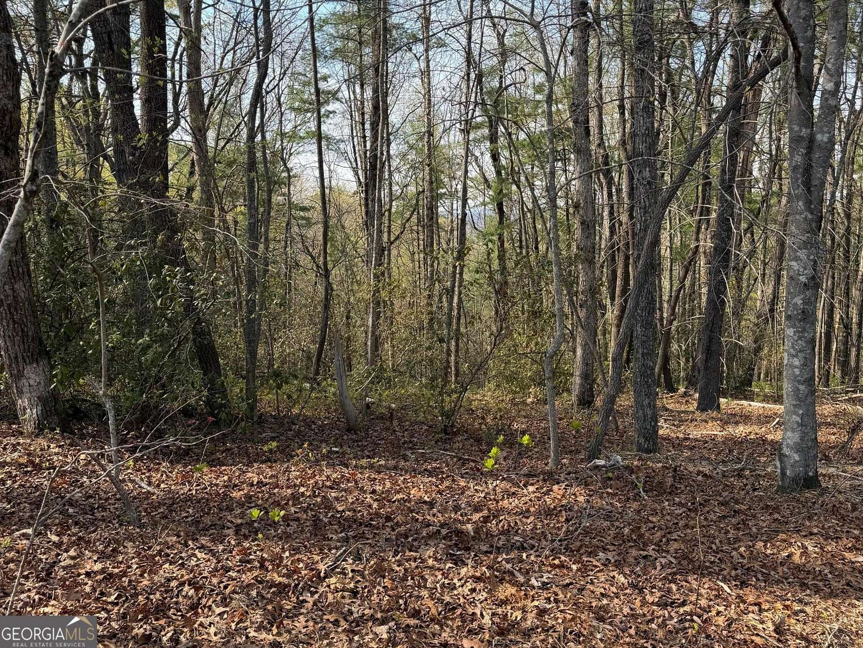 6.65 Acres of Residential Land for Sale in Lakemont, Georgia