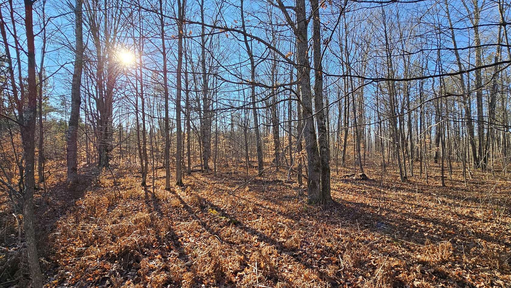 10.3 Acres of Recreational & Residential Land for Sale in Kalkaska, Michigan
