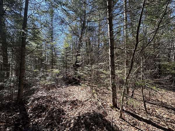 2.5 Acres of Residential Land for Sale in Mio, Michigan