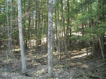 21.4 Acres of Recreational Land for Sale in Johnsonville, New York