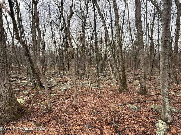 0.46 Acres of Residential Land for Sale in Albrightsville, Pennsylvania