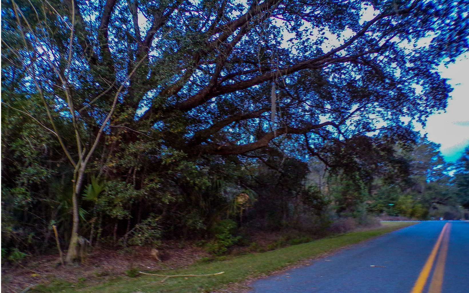 1 Acre of Residential Land for Sale in Lake City, Florida