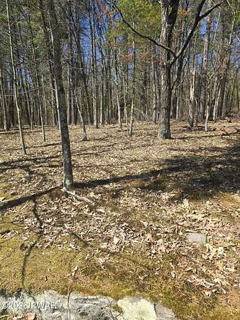 7.62 Acres of Residential Land for Sale in Hawley, Pennsylvania