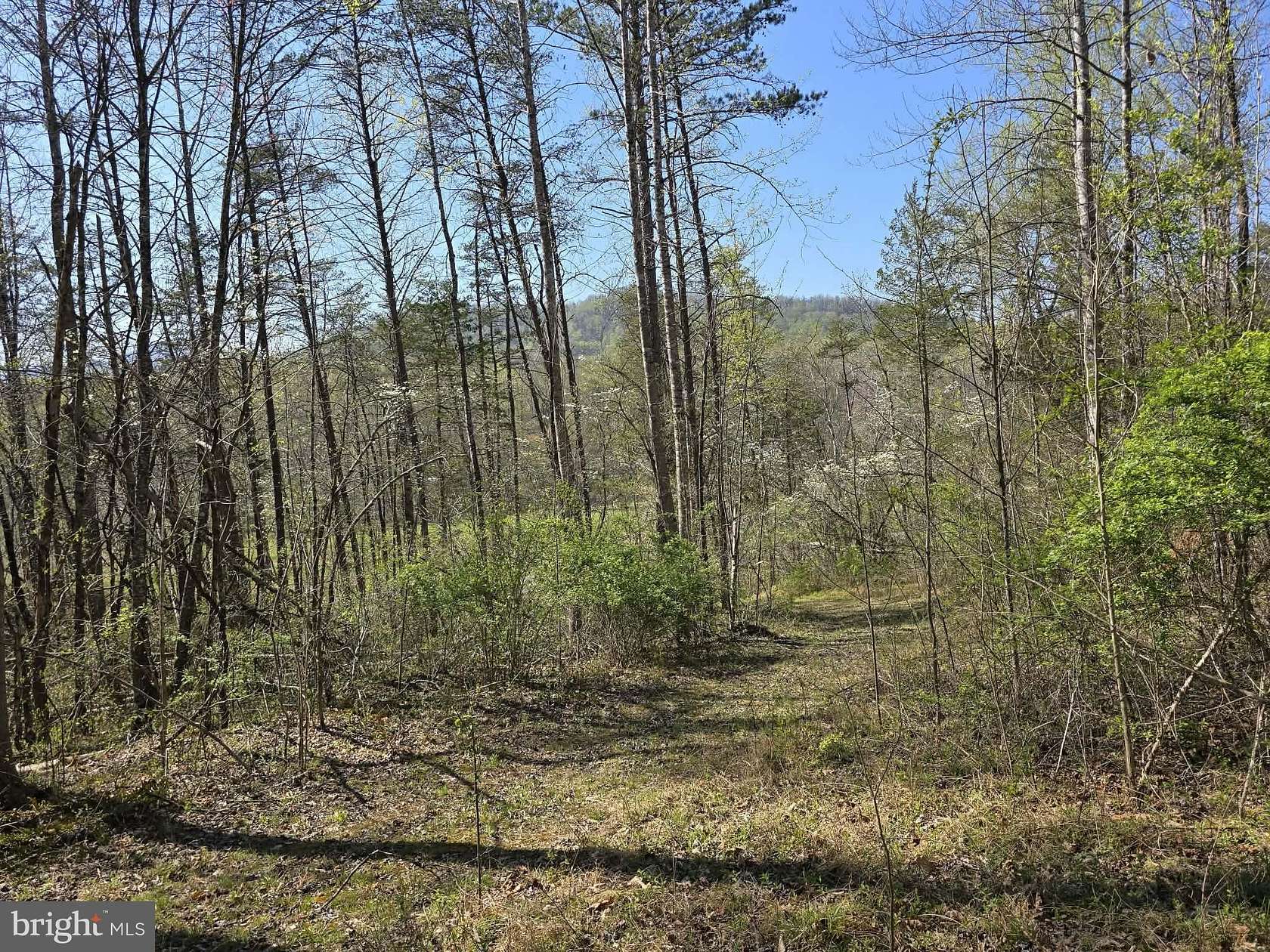 10.3 Acres of Land for Sale in Madison, Virginia