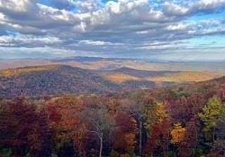 7.46 Acres of Land for Sale in Jasper, Georgia