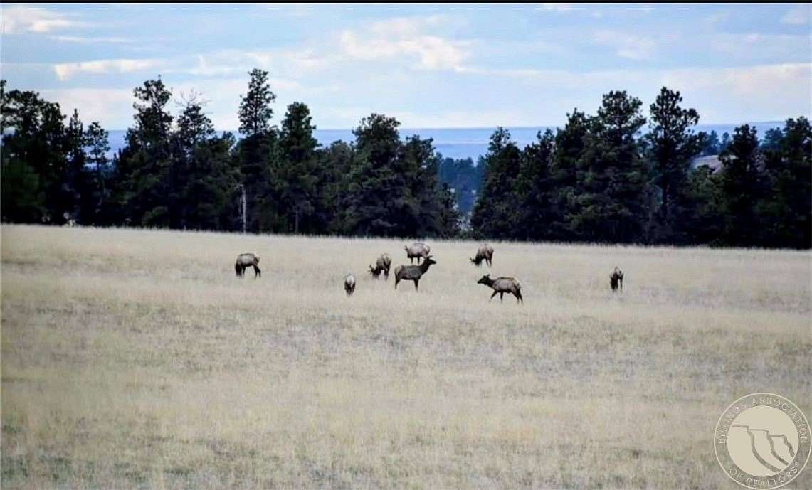 43.6 Acres of Land for Sale in Roundup, Montana