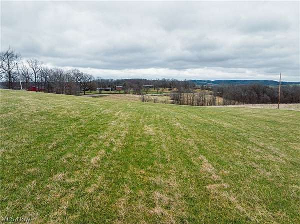 38.1 Acres of Land for Auction in Dundee, Ohio