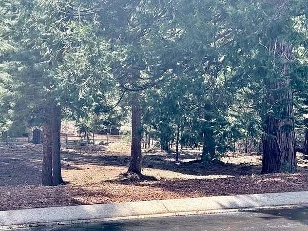 0.25 Acres of Land for Sale in Lake Almanor Peninsula, California