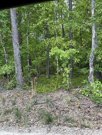 4.6 Acres of Land for Sale in Dalzell, South Carolina