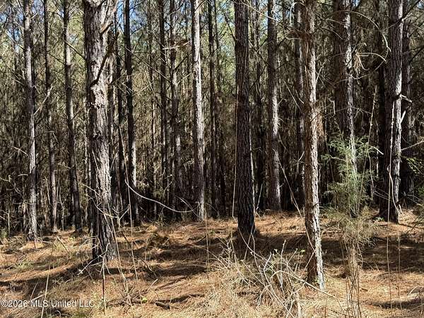 30 Acres of Recreational Land for Sale in Sallis, Mississippi