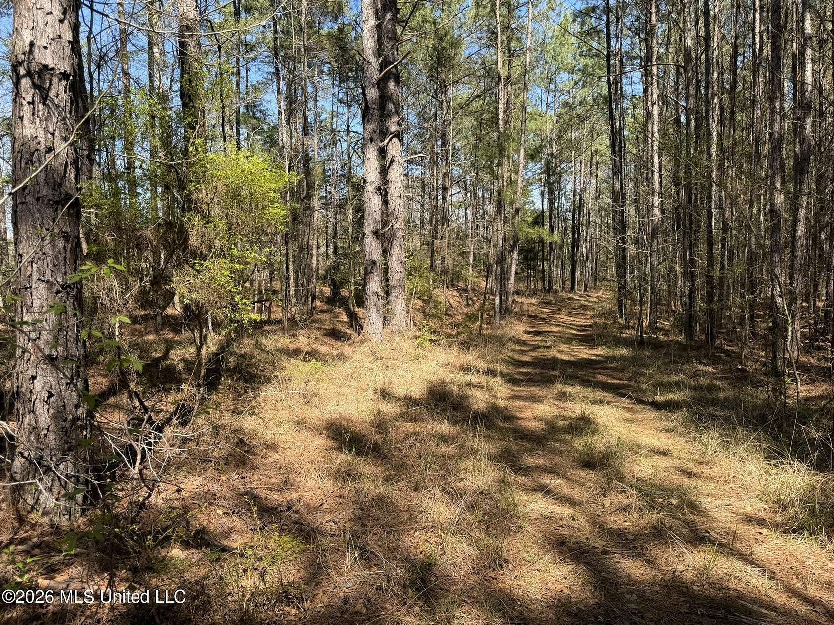 97 Acres of Recreational Land for Sale in Goodman, Mississippi