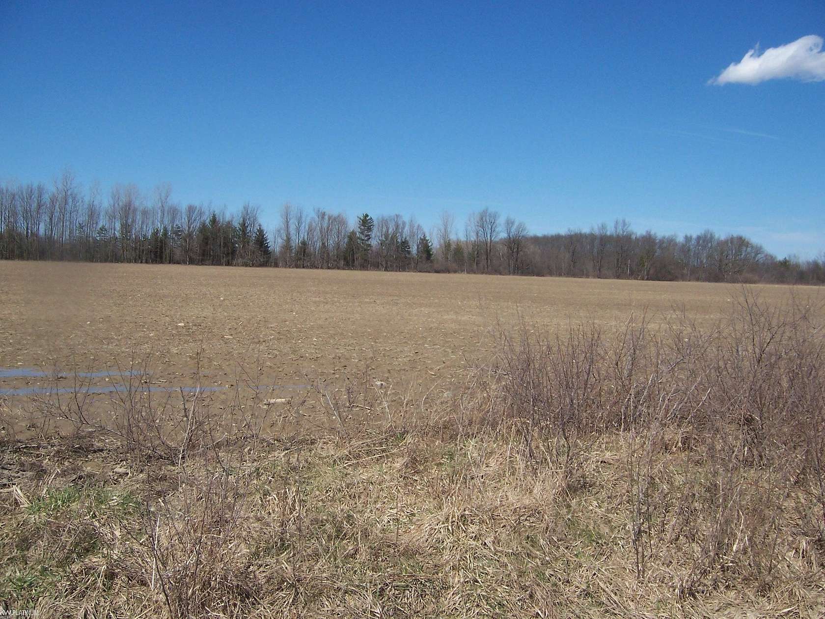 6 Acres of Residential Land for Sale in Avoca, Michigan