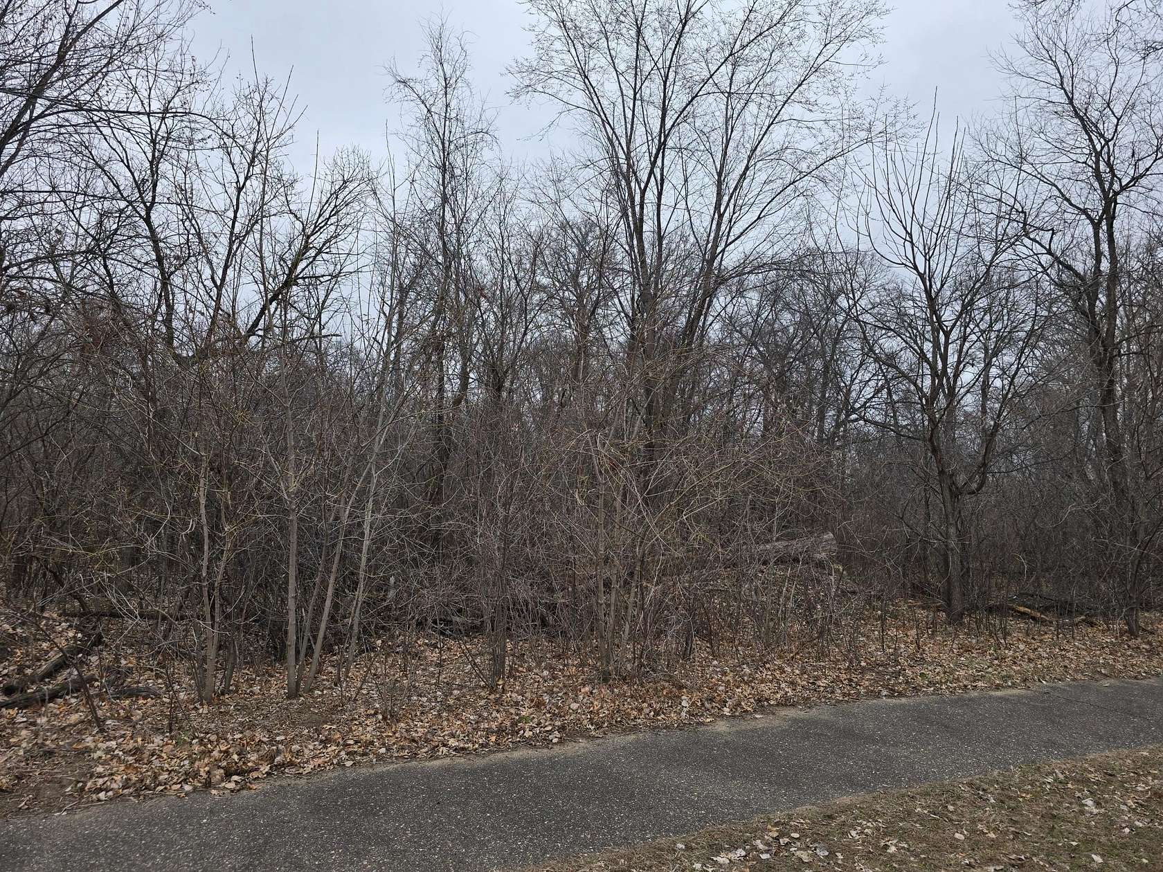 0.63 Acres of Land for Sale in Zimmerman, Minnesota