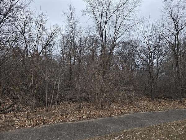 0.63 Acres of Land for Sale in Baldwin Township, Minnesota