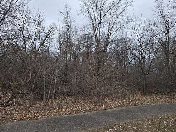 0.63 Acres of Land for Sale in Zimmerman, Minnesota