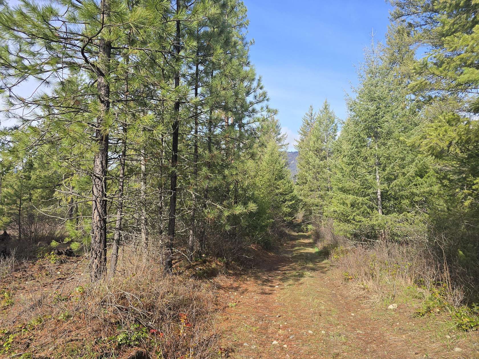 4 Acres of Land for Sale in Colville, Washington