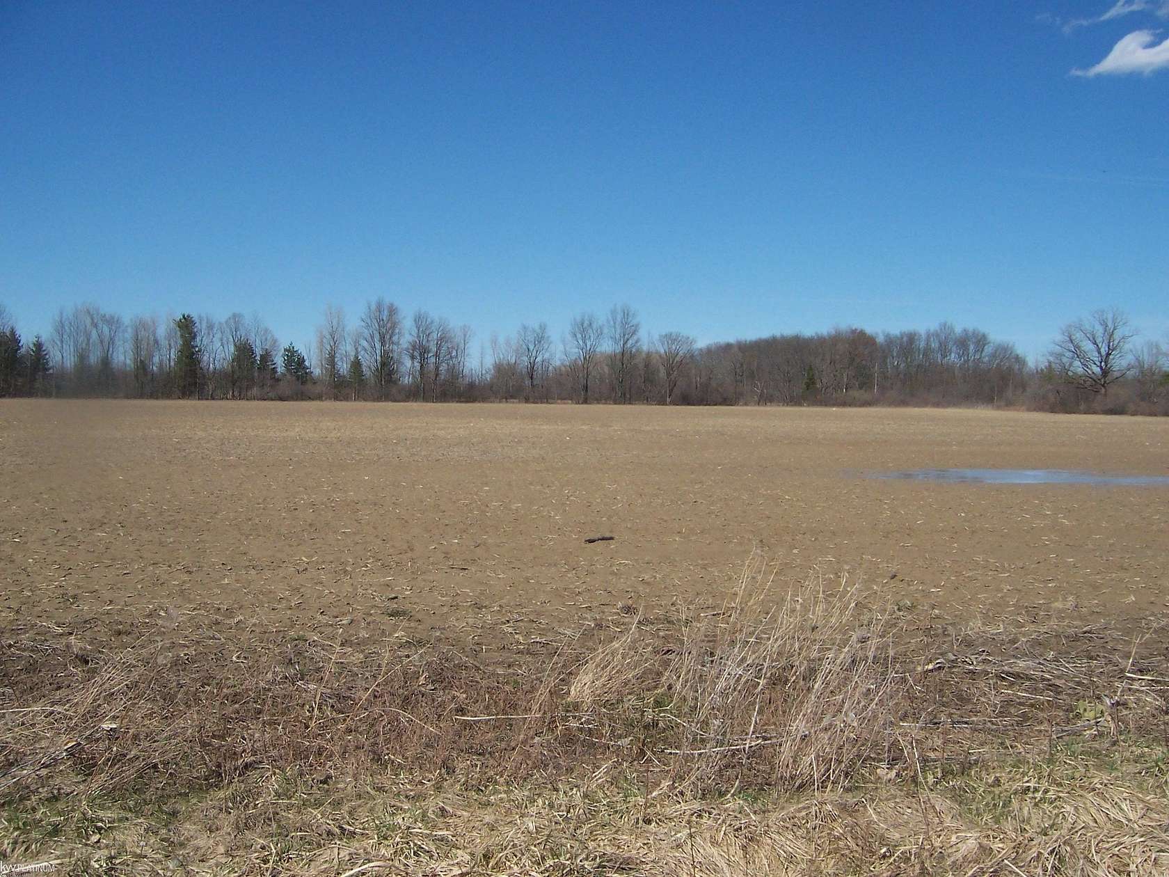 6 Acres of Residential Land for Sale in Avoca, Michigan