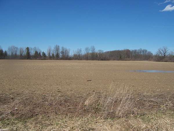 6 Acres of Residential Land for Sale in Avoca, Michigan