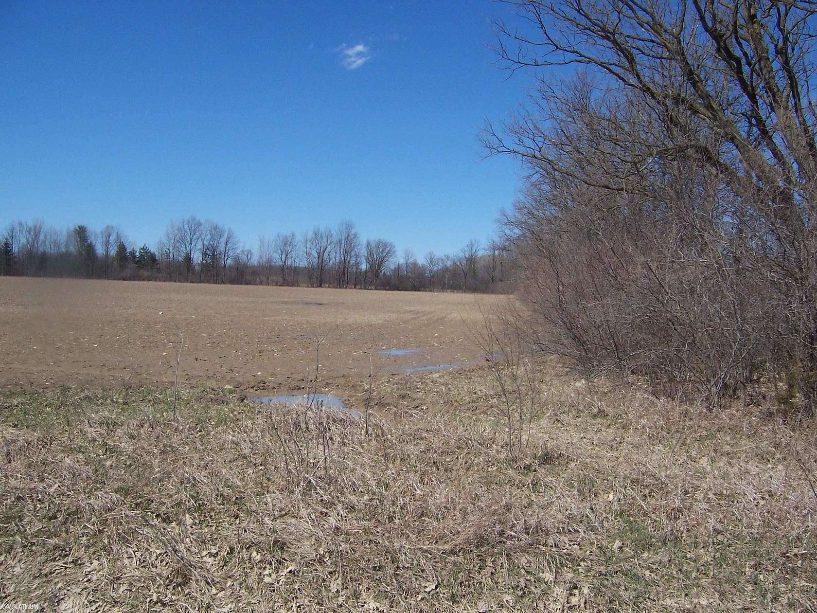 6 Acres of Residential Land for Sale in Avoca, Michigan