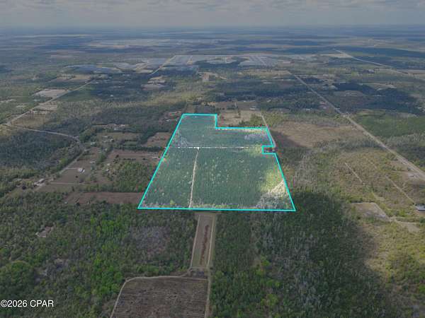67.6 Acres of Land for Sale in Clarksville, Florida