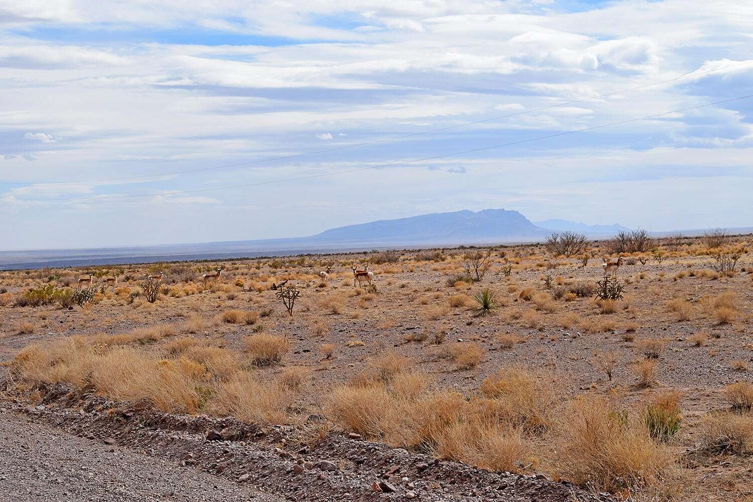 20.3 Acres of Recreational Land for Sale in San Antonio, New Mexico