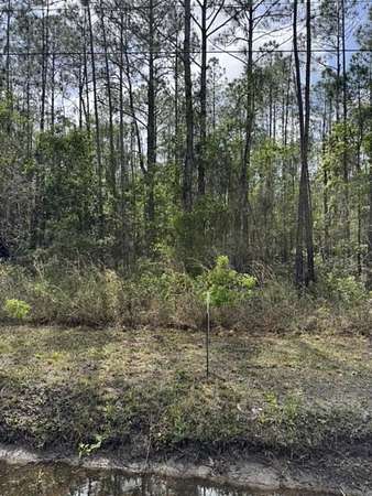 1.15 Acres of Residential Land for Sale in Hastings, Florida