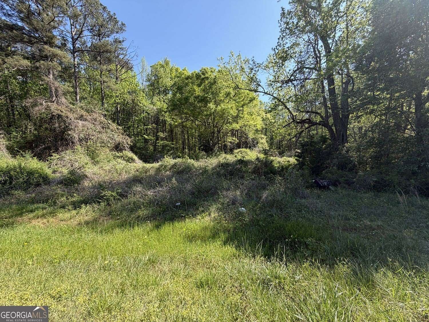 12.5 Acres of Land for Sale in McDonough, Georgia