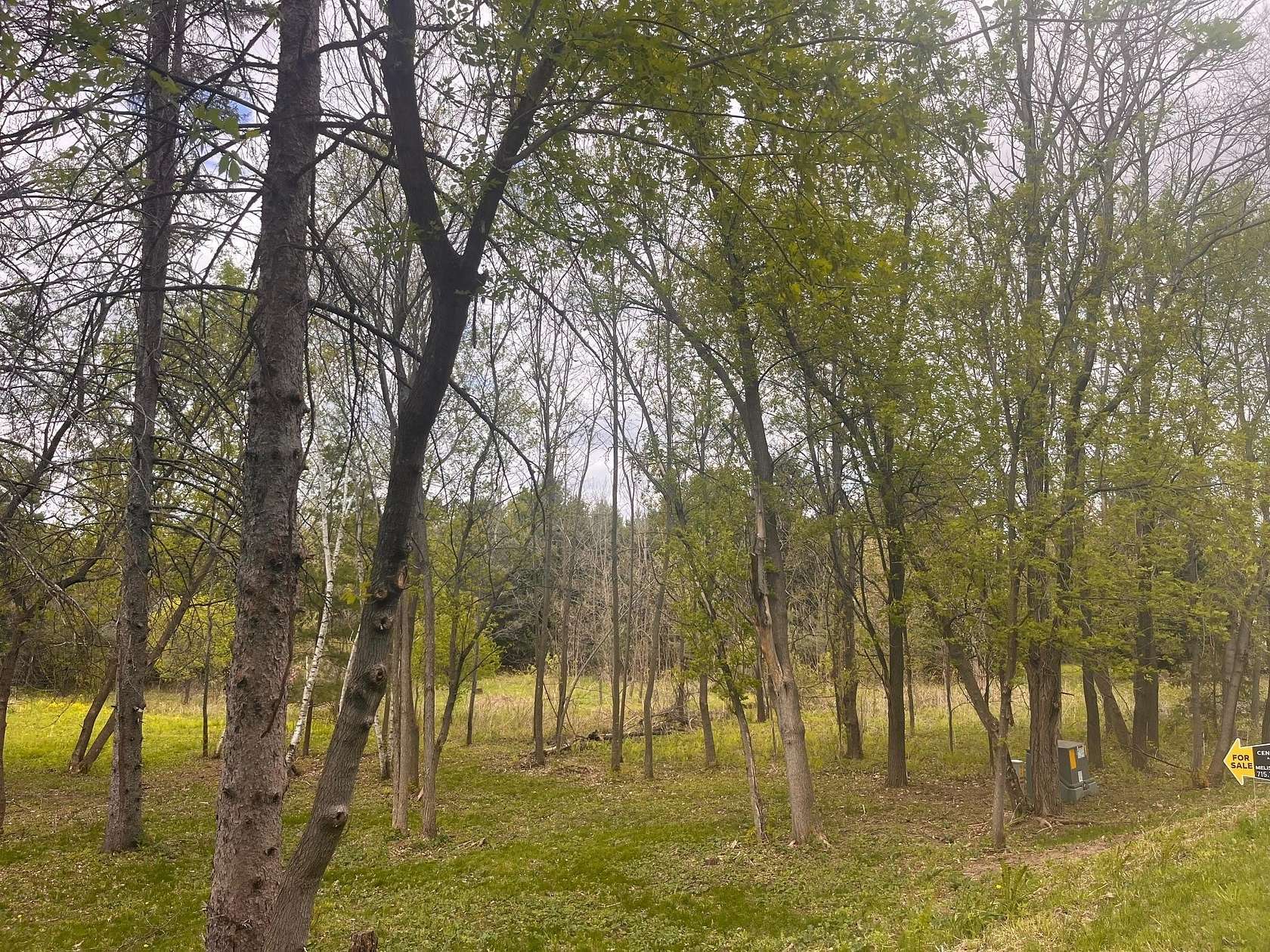 1.19 Acres of Residential Land for Sale in Dresser, Wisconsin