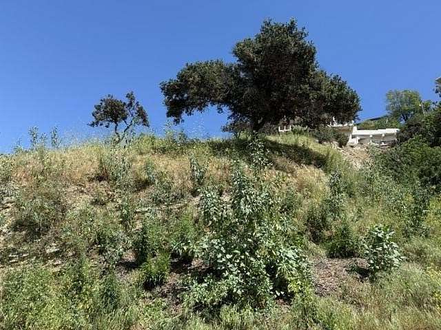 0.22 Acres of Residential Land for Sale in Sherman Oaks, California