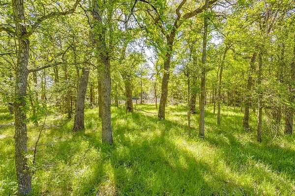 97.7 Acres of Land for Sale in Jacksboro, Texas