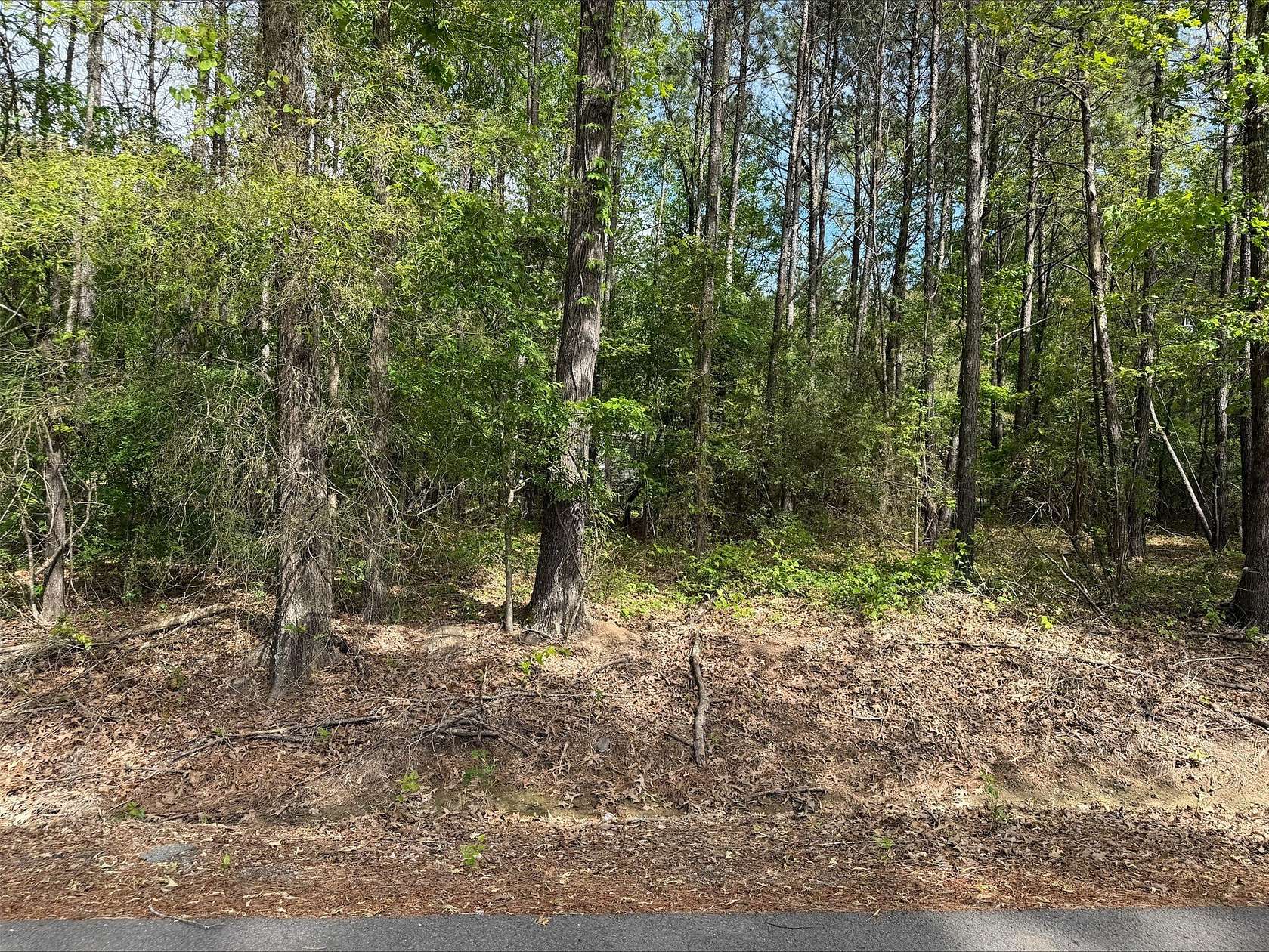 0.33 Acres of Residential Land for Sale in Keithville, Louisiana