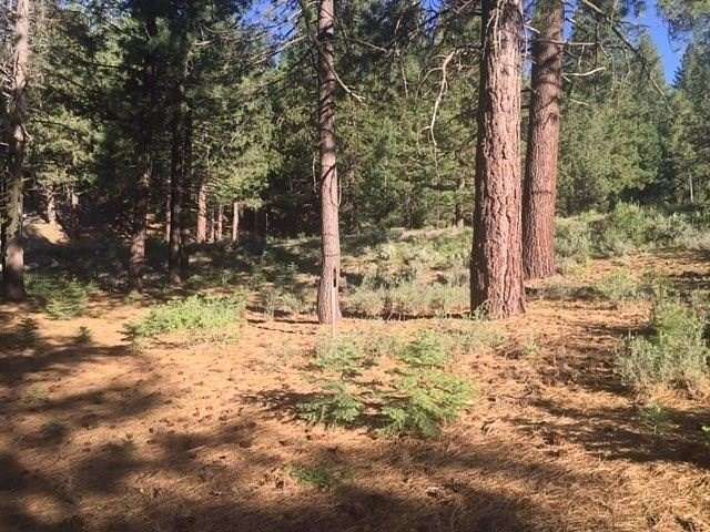 0.4 Acres of Residential Land for Sale in Truckee, California