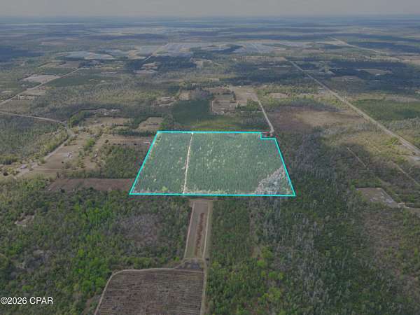 37 Acres of Land for Sale in Clarksville, Florida