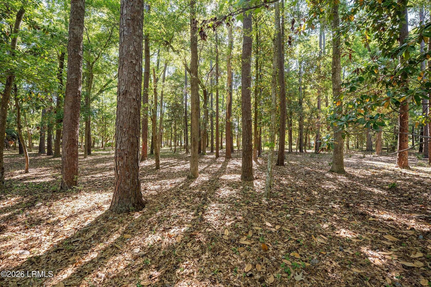 0.28 Acres of Residential Land for Sale in Beaufort, South Carolina