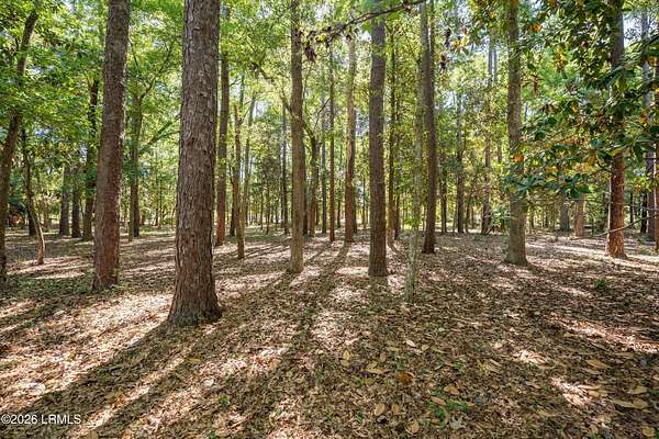 0.28 Acres of Residential Land for Sale in Beaufort, South Carolina