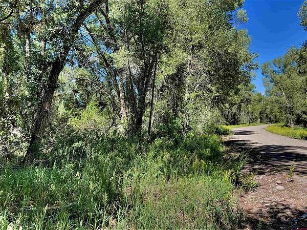 0.72 Acres of Land for Sale in South Fork, Colorado