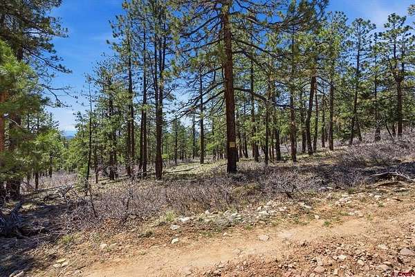 1.16 Acres of Residential Land for Sale in Bayfield, Colorado