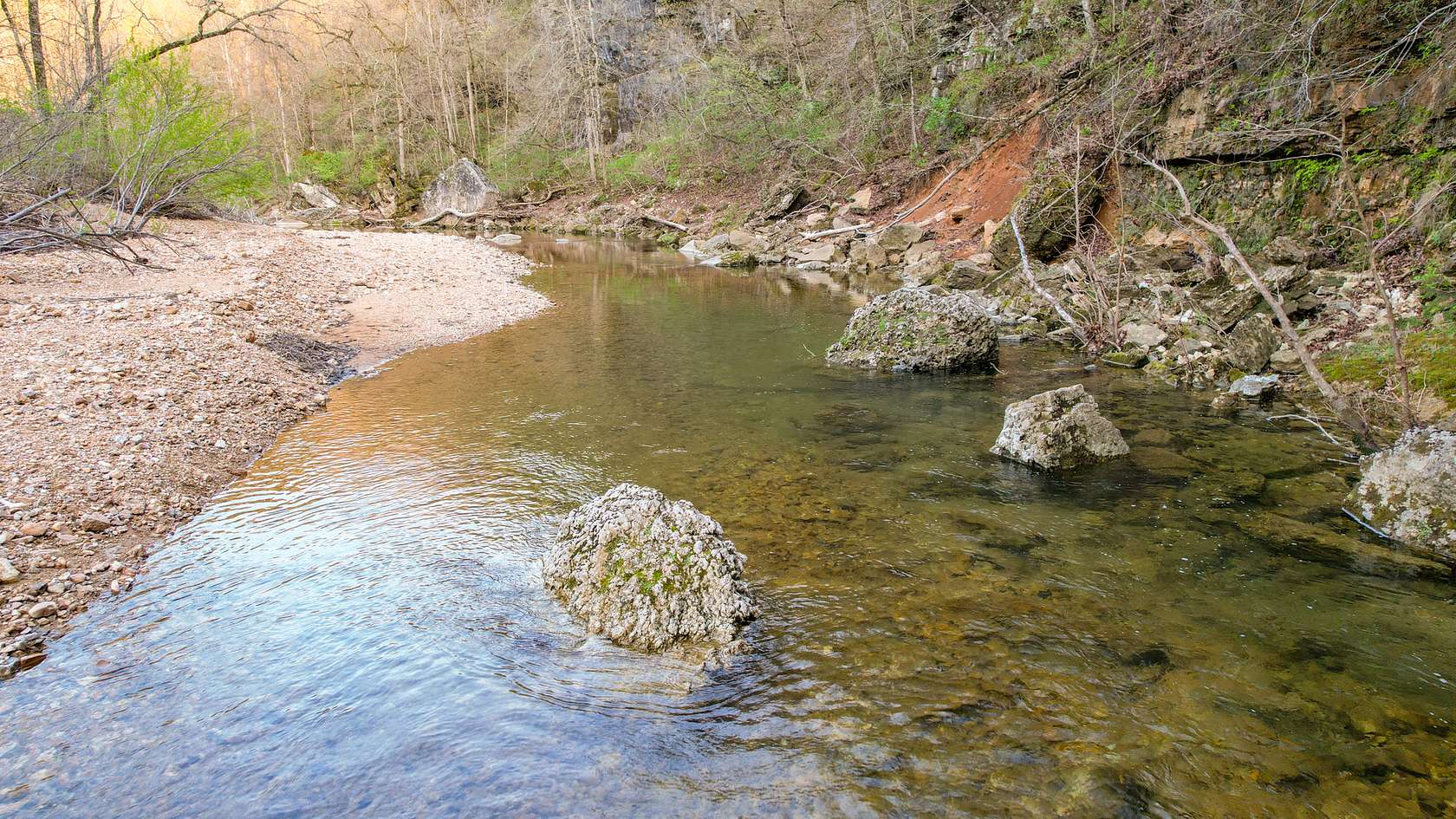 67.5 Acres of Improved Land for Sale in Willow Springs, Missouri