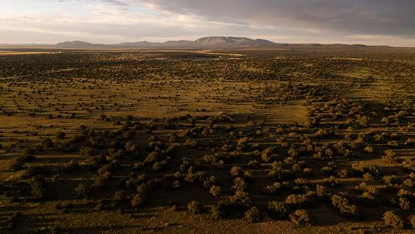 3,546 Acres of Recreational Land with Home for Sale in Cedarvale, New Mexico