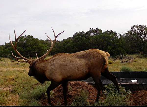 3,546 Acres of Recreational Land with Home for Sale in Cedarvale, New Mexico